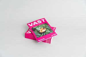 VAST Issue n°01