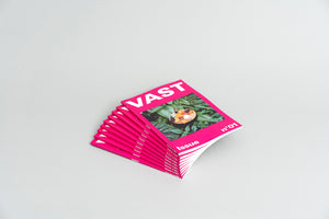 VAST Issue n°01